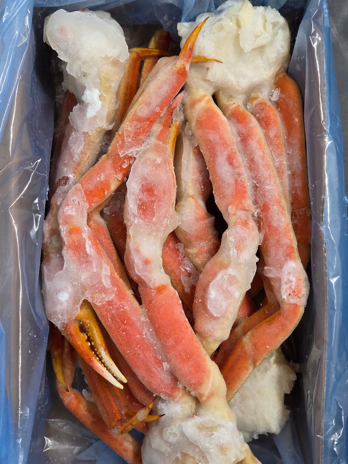 Crabe Zone 12 fraîchement congelé en section 5/8 - 2 lb