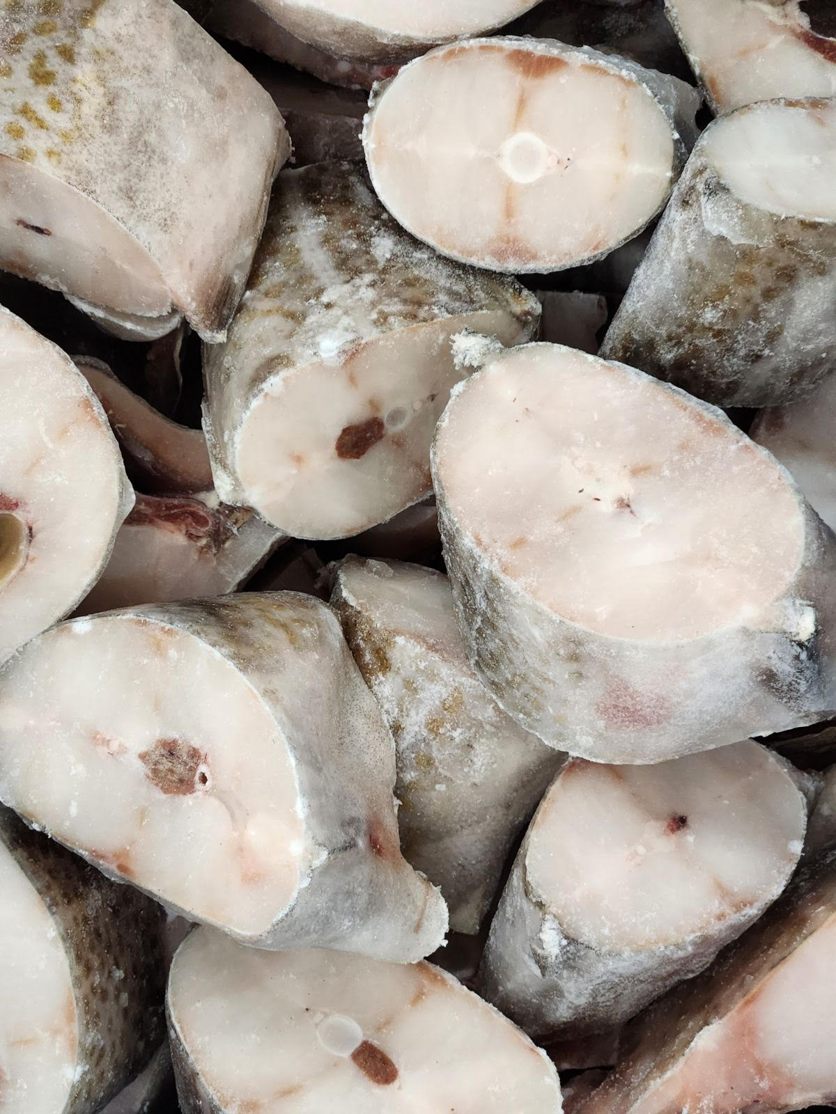 Morue Atlantique / Atlantic Cod - 1907g /4.2 lb