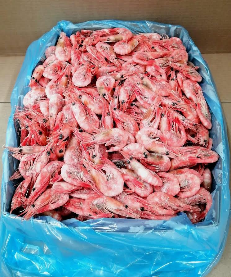 Crevette entières (cuite en carapace) / Whole Shrimp (cooked shell on) - 11 lb